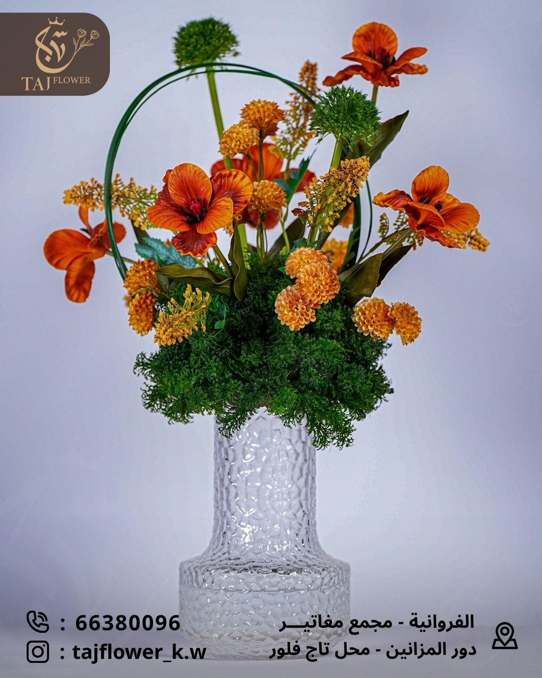 5 Tulips - 2 Helium Pieces - Sparkus Punch - Craze 1 Stick