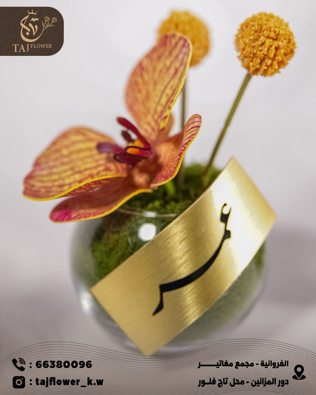 1 Curspedia - 1 Orchid - Vase - Mineral Name